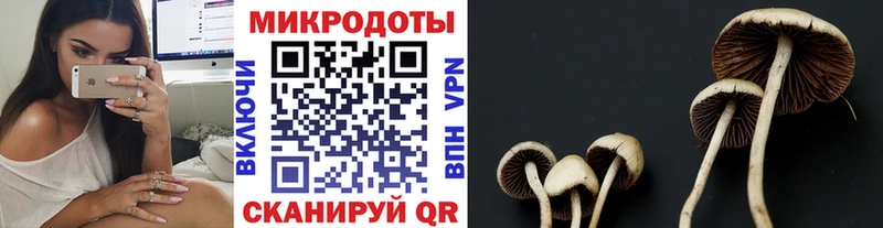 Псилоцибиновые грибы Psilocybine cubensis  сколько стоит  Светлый 